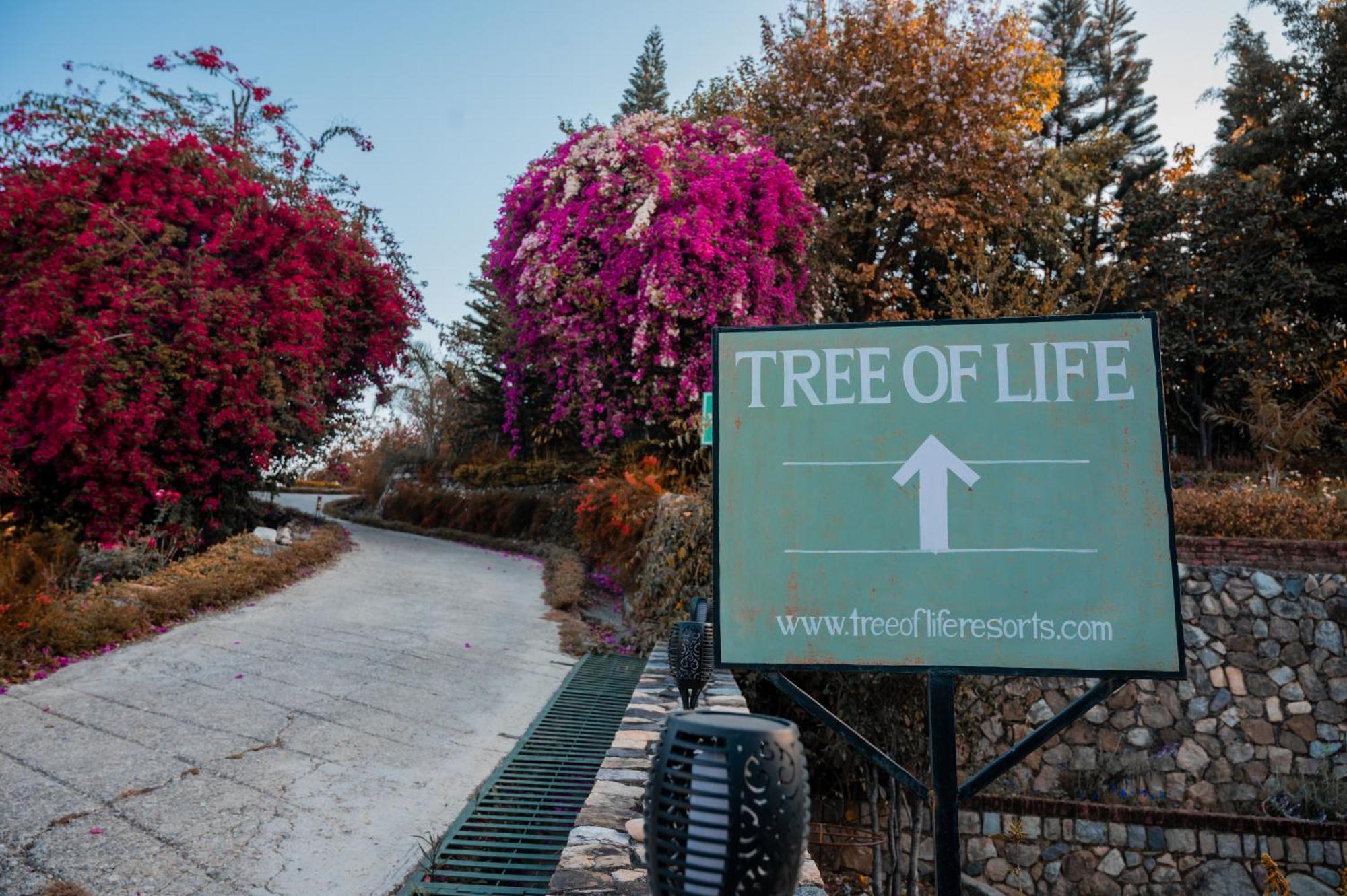 Tree Of Life Resort Dehradun Foothills Kültér fotó
